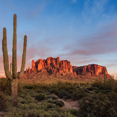 Large cactus in desert foreground with sunlit red rock mountains and blue sky at sunset.
